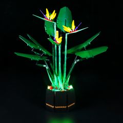 Bird of Paradise#Light Kit for 10289-Classic Version