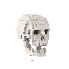 MOC-41161 Human Skull with brain