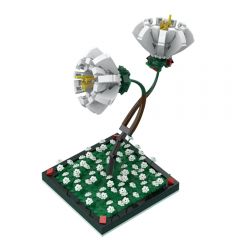 MOC Camellia