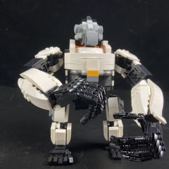 Winston-Overwatch 
