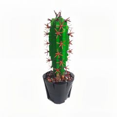 MOC-118883 Mini Saguaro Cactus (carnegiea gigantea)