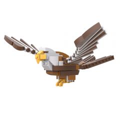 MOC-158497 Bald eagle