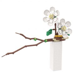 Phalaenopsis Flower MOC 21 left in stock