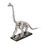 MOC- Giraffatitan (Brachiosaurus)